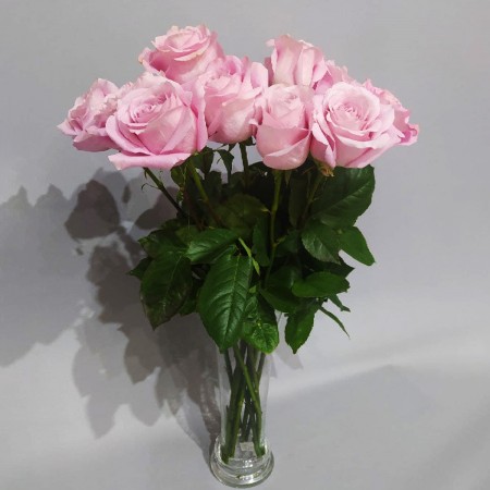 13 нежных роз за 3 350 - «Ромашково» в Красноярске