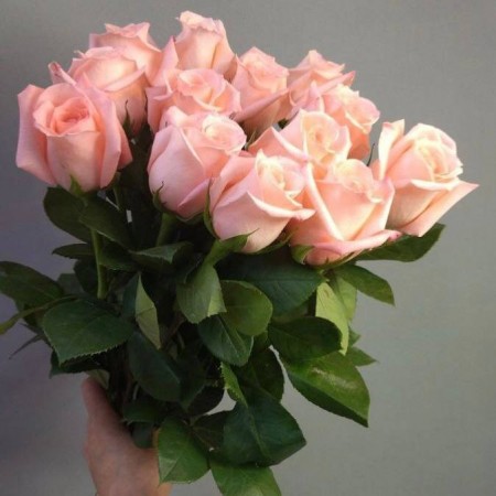Букет из 13 розовых роз за 4 010 - «Ромашково» в Красноярске