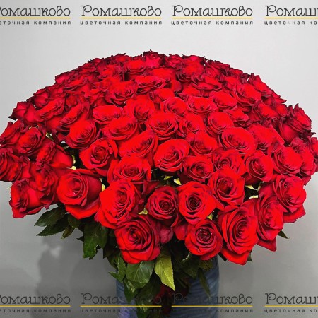Букет из 101 красной розы (80см) за 37 890 - «Ромашково» в Красноярске