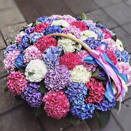 Корзина с цветами «Гортензии в корзине» за 62 100 - «Ромашково» в Красноярске